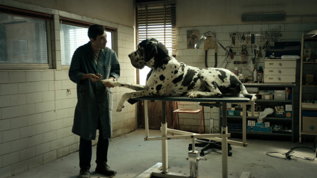 Marcello Fonte as the protagonist in Dogman.