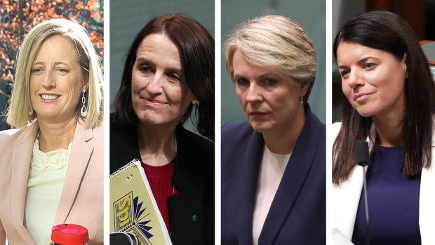 Katy Gallagher, Celia Hammond, Tanya Plibersek and Fiona Martin are among those urging anti-harassment training for MPs. 
