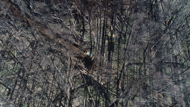 Salvage logging north of Dargo. 