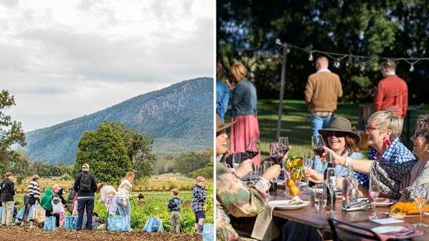 O Scenic Rim Eat Local Month começou como uma única semana de comemorações.