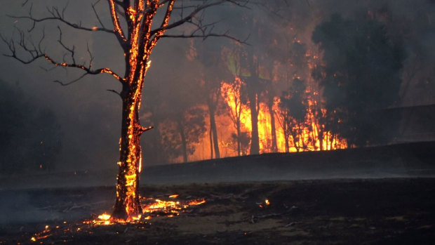 Bushfires in East Gippsland. 