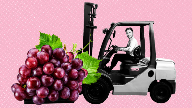 Part of my dream life involves me on a  forklift pushing around a giant bunch of grapes.