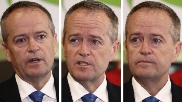 Opposition Leader Bill Shorten defended the legacy of his mother, Ann, at an emotional press conference in Nowra.