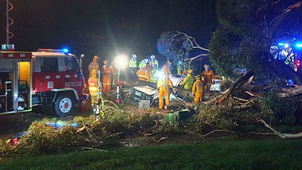 Emergency crews work to free a person from a car hit by a tree in Belgrave.