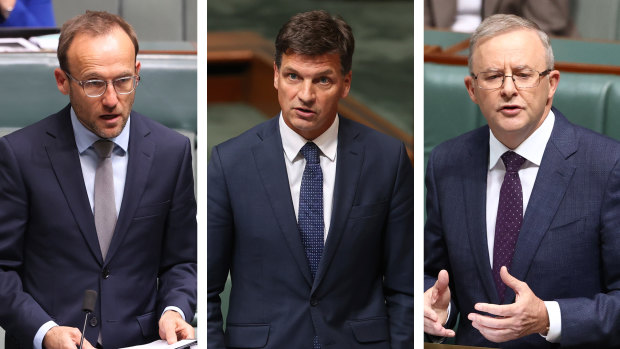 Greens leader Adam Bandt, Energy Minister Angus Taylor and Labor leader Anthony Albanese.