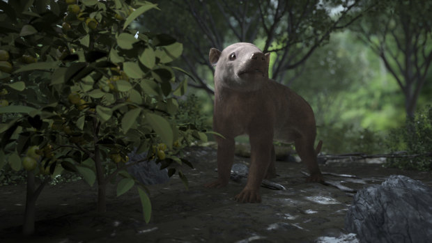 A rendering of the ancient Carsioptychus mammal     in a newly diversified forest, 300,000 years after the mass extinction that wiped out the dinosaurs.  