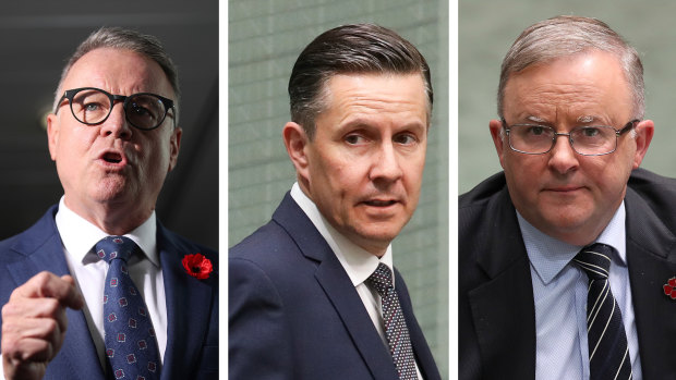 Labor's Joel Fitzgibbon has called on  Mark Butler to quit the energy portfolio, with the spat putting pressure on Labor leader Anthony Albanese. 
