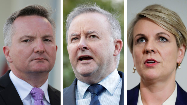 Chris Bowen, Anthony Albanese and Tanya Plibersek are Labor leadership contenders.