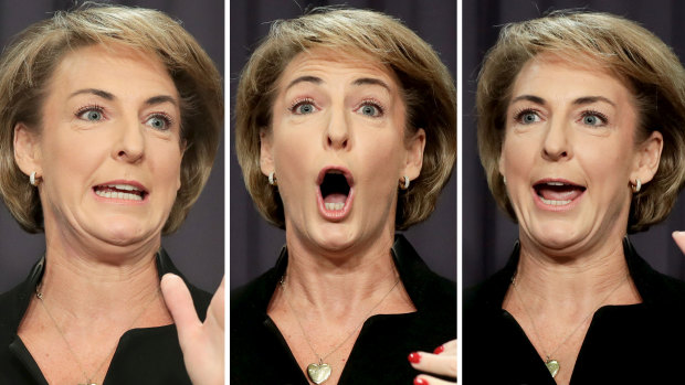 'I am absolutely not covering up': Jobs Minister Michaelia Cash addresses the media on Wednesday.