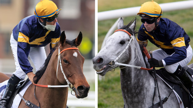 Tommy Berry aboard Masked Crusader and Chautauqua. On both sprinters he wears the same colours.