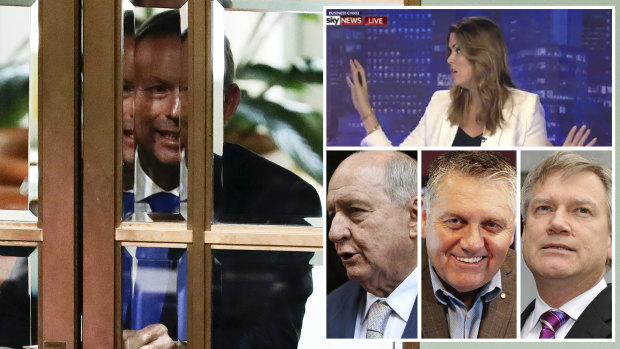 Former PM Tony Abbott has vocal supporters in the media including former chief of staff turned Sky News presenter Peta Credlin; 2GB's Alan Jones and Ray Hadley; and Sky stalwart and News Corp columnist Andrew Bolt.
