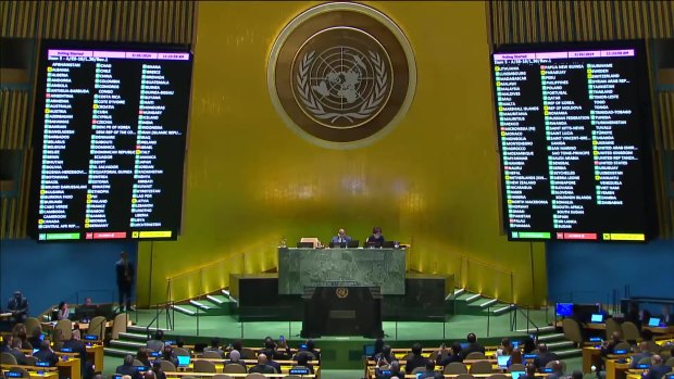 The UN resolution was supported by 143 nations with nine voting against and 25 abstaining.