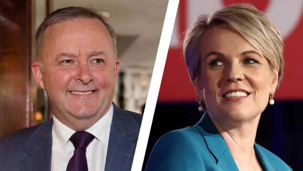 Anthony Albanese and Tanya Plibersek will both contest the Labor leadership. 