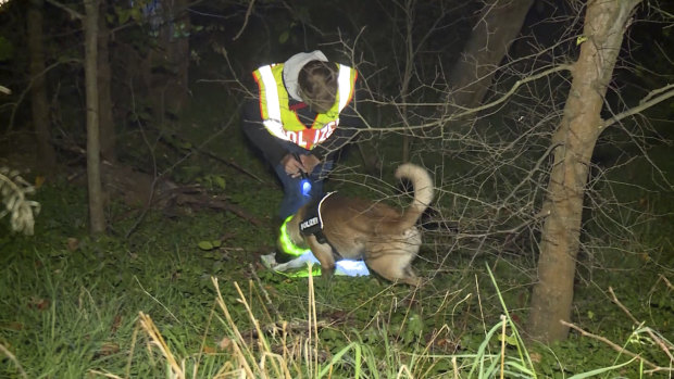 A policeman with a tracker dog search for the missing man in a case that involved ‘cannibalism’.