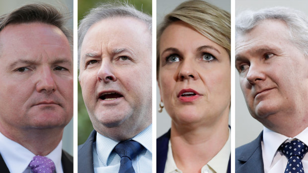 Chris Bowen, Anthony Albanese, Tanya Plibersek are likely Labor leadership contenders, while Tony Burke is said to be considering running.
