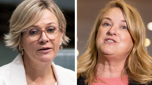 Sydney MPs Zali Steggall and Kylea Tink are arguing over which of their seats should be abolished.