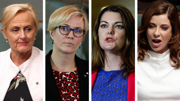 Liberal Katie Allen, independent MP Zali Steggall, the Greens’ Sarah Hanson-Young and Labor’s Anika Wells are supporting the establishment of a group that could function as a forum for women in Parliament. 