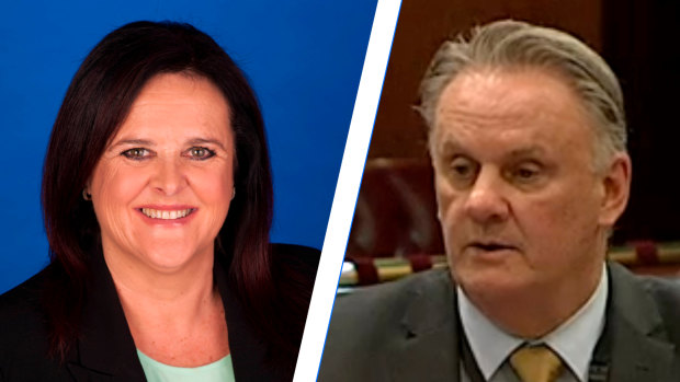 Mark Latham has used parliamentary privilege to accuse Anna Watson of attempting to drive after being “paralytically drunk” in Macquarie Street.