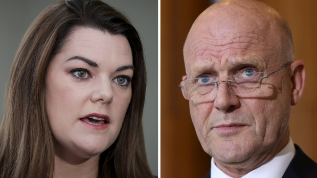 Sarah Hanson-Young says David Leyonhjelm hurled sexist abuse at her during a debate on violence against women.