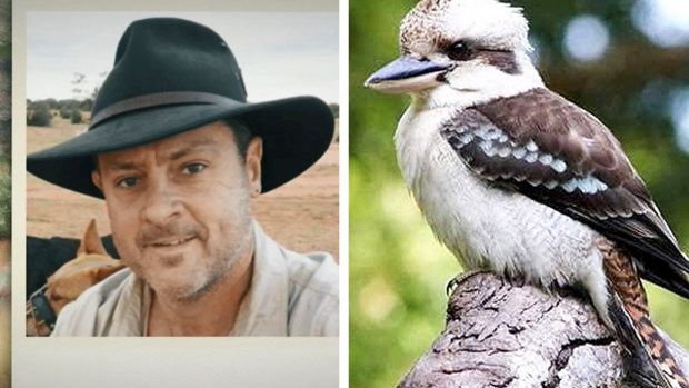 Daniel Welfare is accused of ripping off a kookaburra's head after it tried to steal food from his plate.