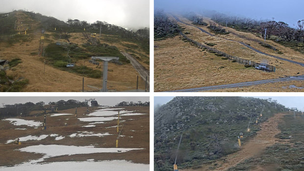 Perisher snow cams across the resort this morning. 
