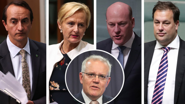 Liberal MPs Dave Sharma, Katie Allen, Trent Zimmerman and Jason Falinski all pushed Prime Minister Scott Morrison to include a net zero emissions by 2050 pledge as part of his climate policy.