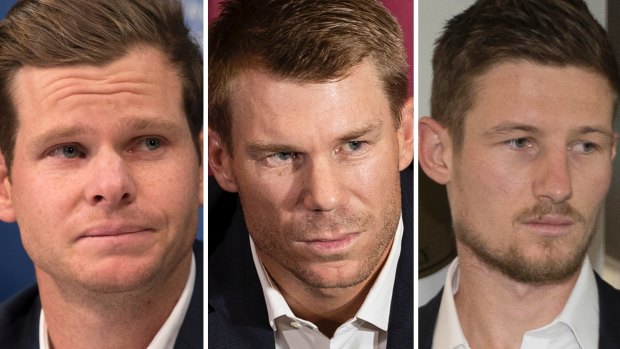 On the sidelines: Banned Australian cricketers Steve Smith, David Warner and Cameron Bancroft.