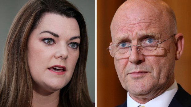 Sarah Hanson-Young says David Leyonhjelm hurled sexist abuse at her during a debate on violence against women.