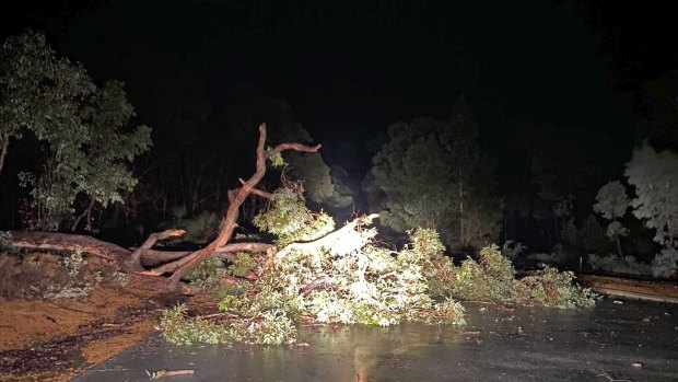 Winds brought trees down in Wundowie. 