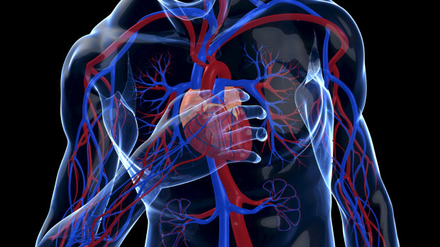 Researchers are using machine learning to diagnose heart attacks more quickly and accurately.