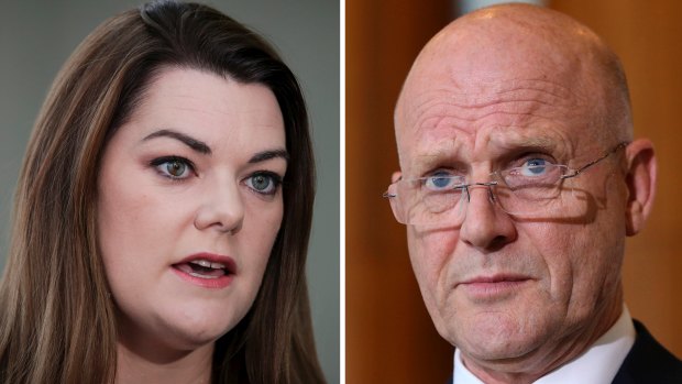 Sarah Hanson-Young says David Leyonhjelm hurled sexist abuse at her during a debate on violence against women.