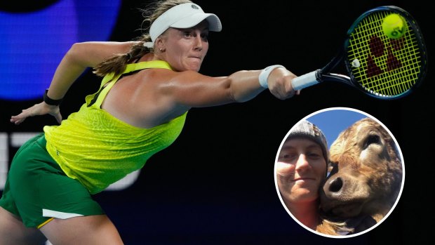 Australian tennis star Zoe Hives in action during the United Cup and inset with one of her cows.
