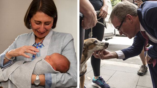 Can one confidently say an election has taken place if, at some point prior to voting, a politician has not held a single baby or patted even one pooch? 