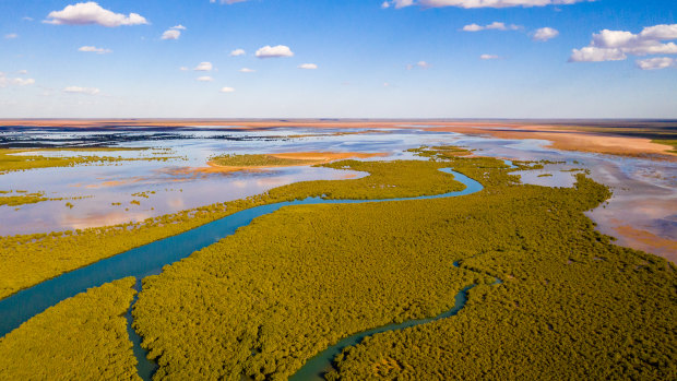 Greenhouse gas sequestered in 
marine vegetation is the focus of a new government fund for blue carbon, which will support ecosystems like the mangroves in the Exmouth Gulf, Western Australia. 