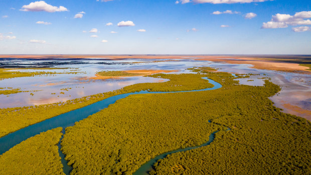 Mangrove creeks in the Exmouth Gulf.