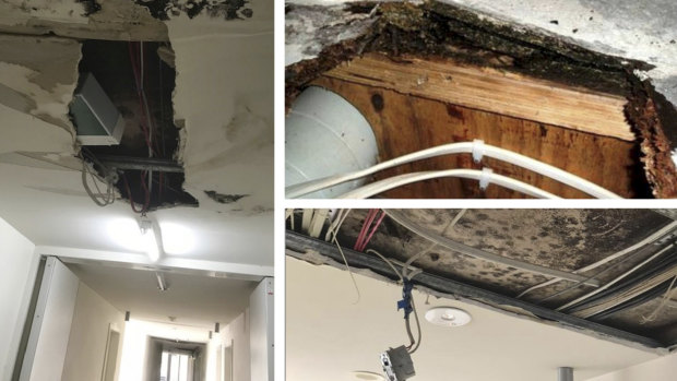 Residents in the Zetland block recount widespread outbreaks of dangerous mould and rotting carpet and floorboards.