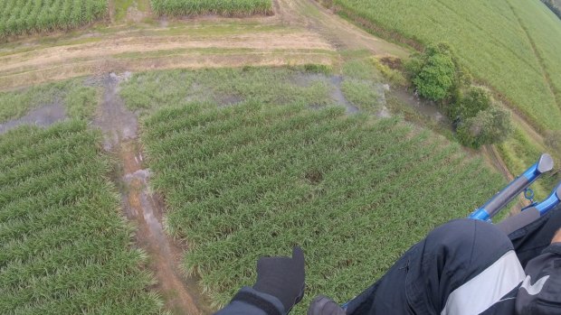 The view above the cane fields from the rescue helicopter that spotted Ms Marincic.