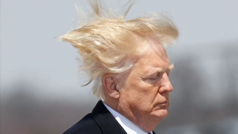 The answer to Trump's hair is blowing in the wind: it's real