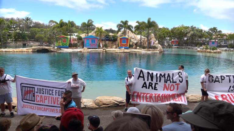 The protesters surrounded the show and unfurled banners.