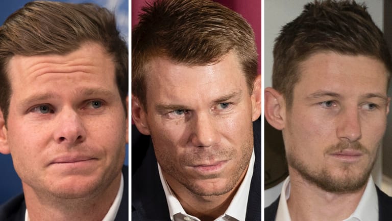 On the sidelines: Banned Australian cricketers Steve Smith, David Warner and Cameron Bancroft.