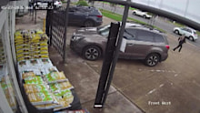 A heavily-pregnant nursery owner in Adelaide gave chase when an alleged thief walked out her business with a trolley packed with plants. 