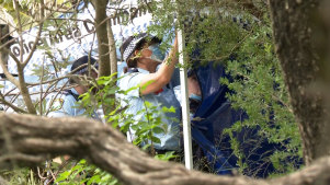 Homicide squad officers are investigating after a body was found in bushes near Sydney Airport.