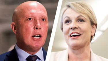 Albanese condemns Plibersek for comparing Dutton to Voldemort