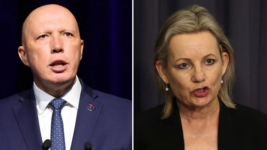Peter Dutton will be the next Liberal leader and Sussan Ley his likely deputy.