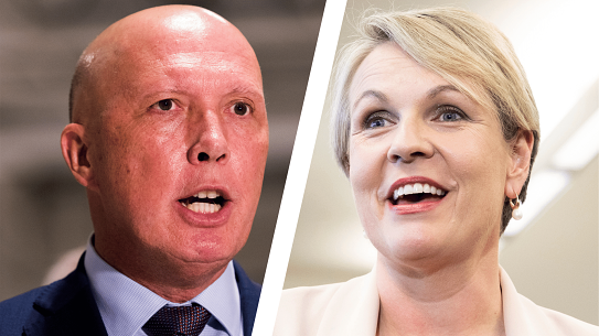 Labor frontbencher Tanya Plibersek apologised after comparing Liberal MP Peter Dutton’s appearance to that of Harry Potter villain Voldemort.