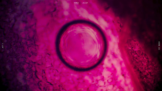 A 'scene' from Huei Yin Wong's Romeo and Juliet