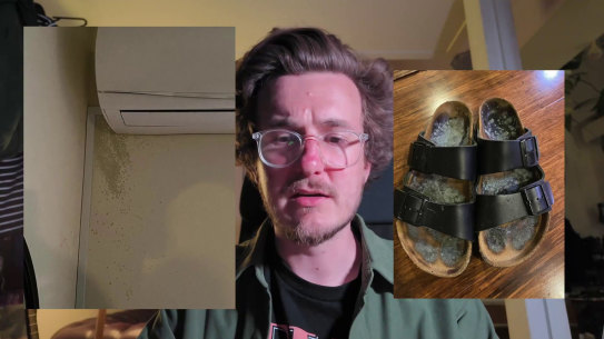 Mould infestation photos published by rental advocate and Victorian Socialists candidate Jordan van den Lamb.