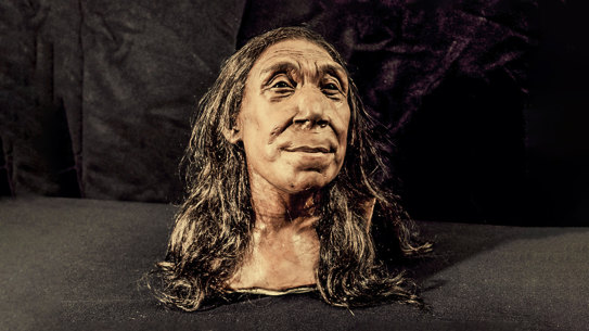 The recreated head of Shanidar Z, based on 3D scans of the reconstructed skull, made by the Kennis brothers for the Netflix documentary Secrets of the Neanderthals.