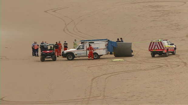 Shark attack north of Coffs Harbour, man in 20s dies from injuries