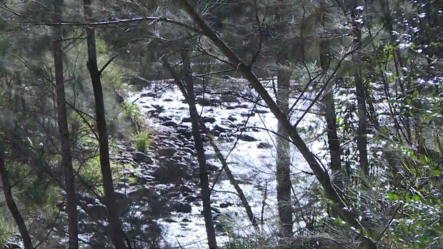 Two dead after SUV crashes into creek near NSW-Qld border